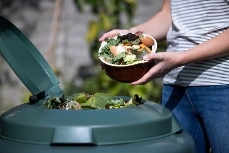 Cutting Carbon, One Plate at a Time